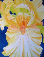 /album/mary-kosary/mary-kosary-iris-princess-jpg1/